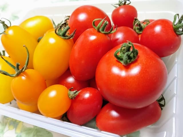 トマトの大量消費でソース以外で何かある？長期保存可能のレシピおすすめとは？
