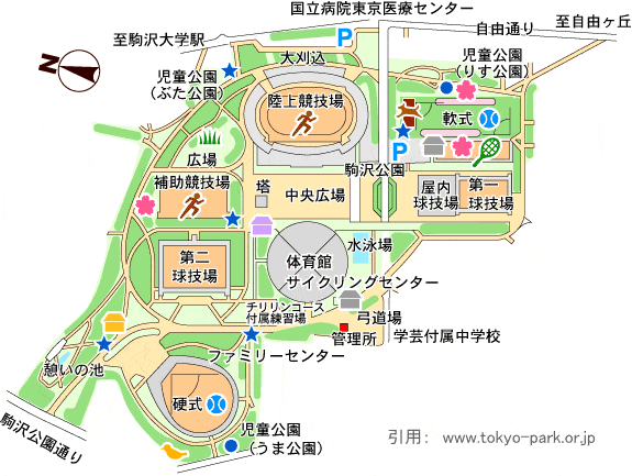 駒沢公園の桜の場所はどの辺り？お花見の混雑や最寄り駅は？